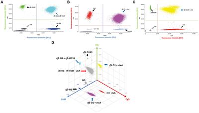 Absolute quantification of viable Vibrio cholerae in seawater samples using multiplex droplet digital PCR combined with propidium monoazide